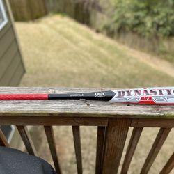 LOUISVILLE DYNASTY (-10) Bat SIZE 31