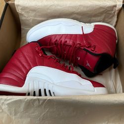 Size 11 Air jordan 12 Retro 