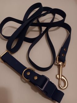 
***NEW*** SportPet Solid Blue Matching Dog Leash & Collar Set