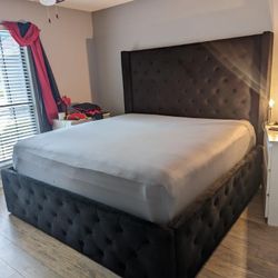 Esteem Modern Tufted Velvet Platform Bed.