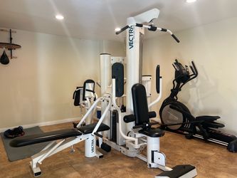 Vectra 3800 Home Gym!