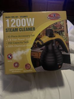 Steam Cleaner