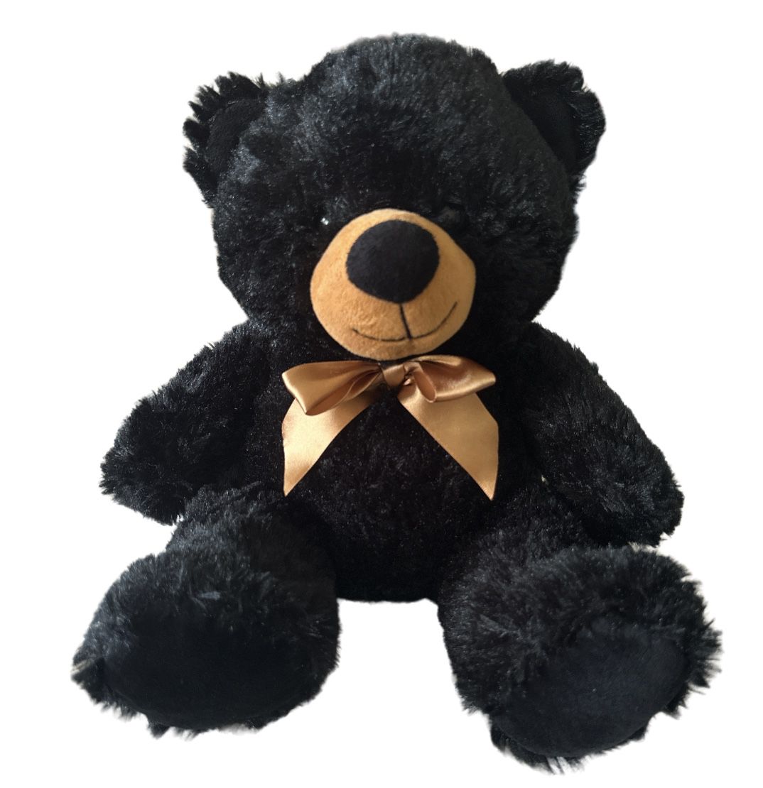 Soft and Fluffy Black Teddy Bear