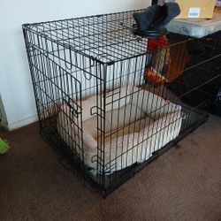Dog Cage