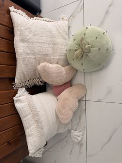 Decor pillow / outdoor pillows