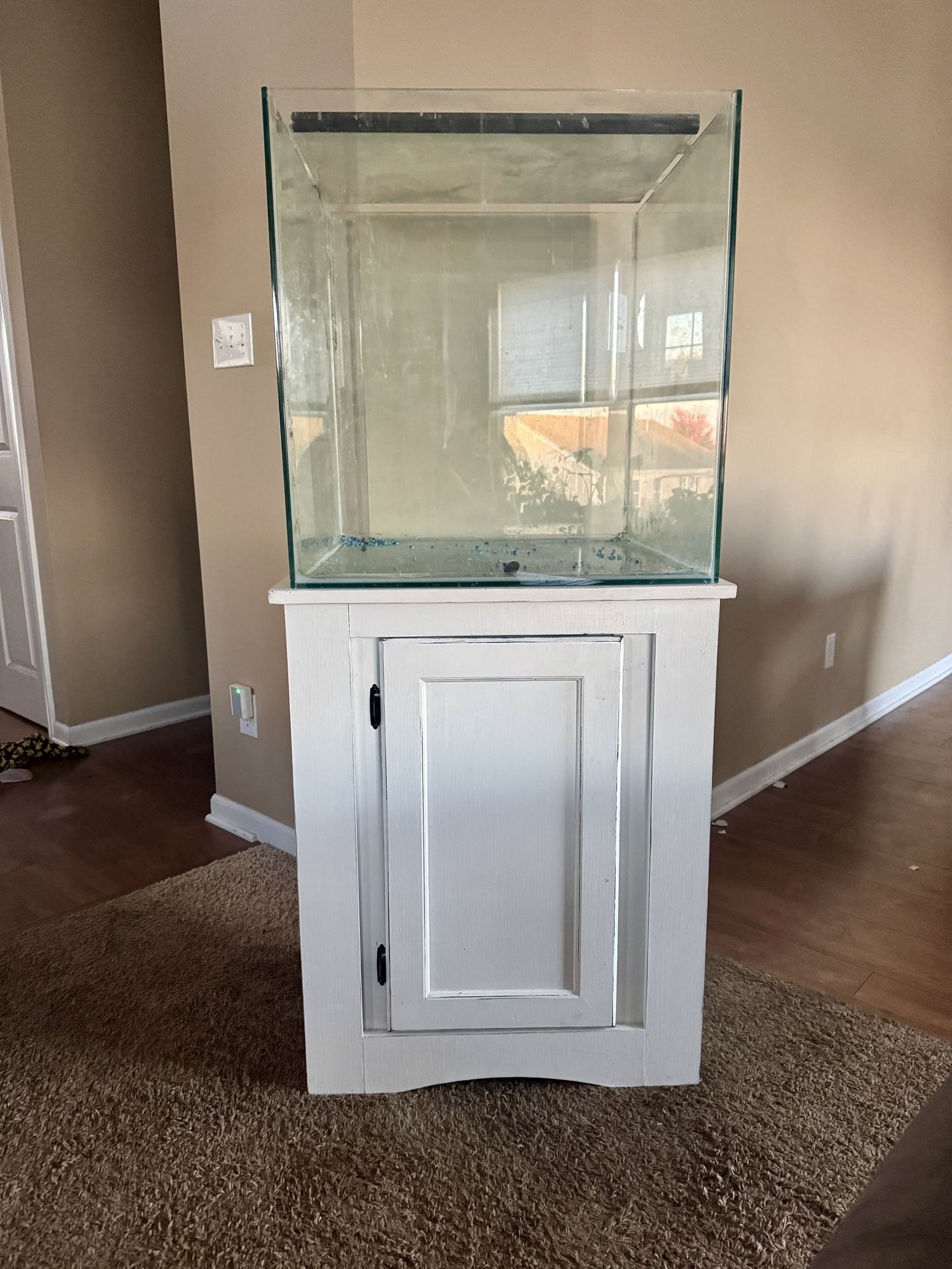 Rimless Cubed 60 Gallon Aquarium