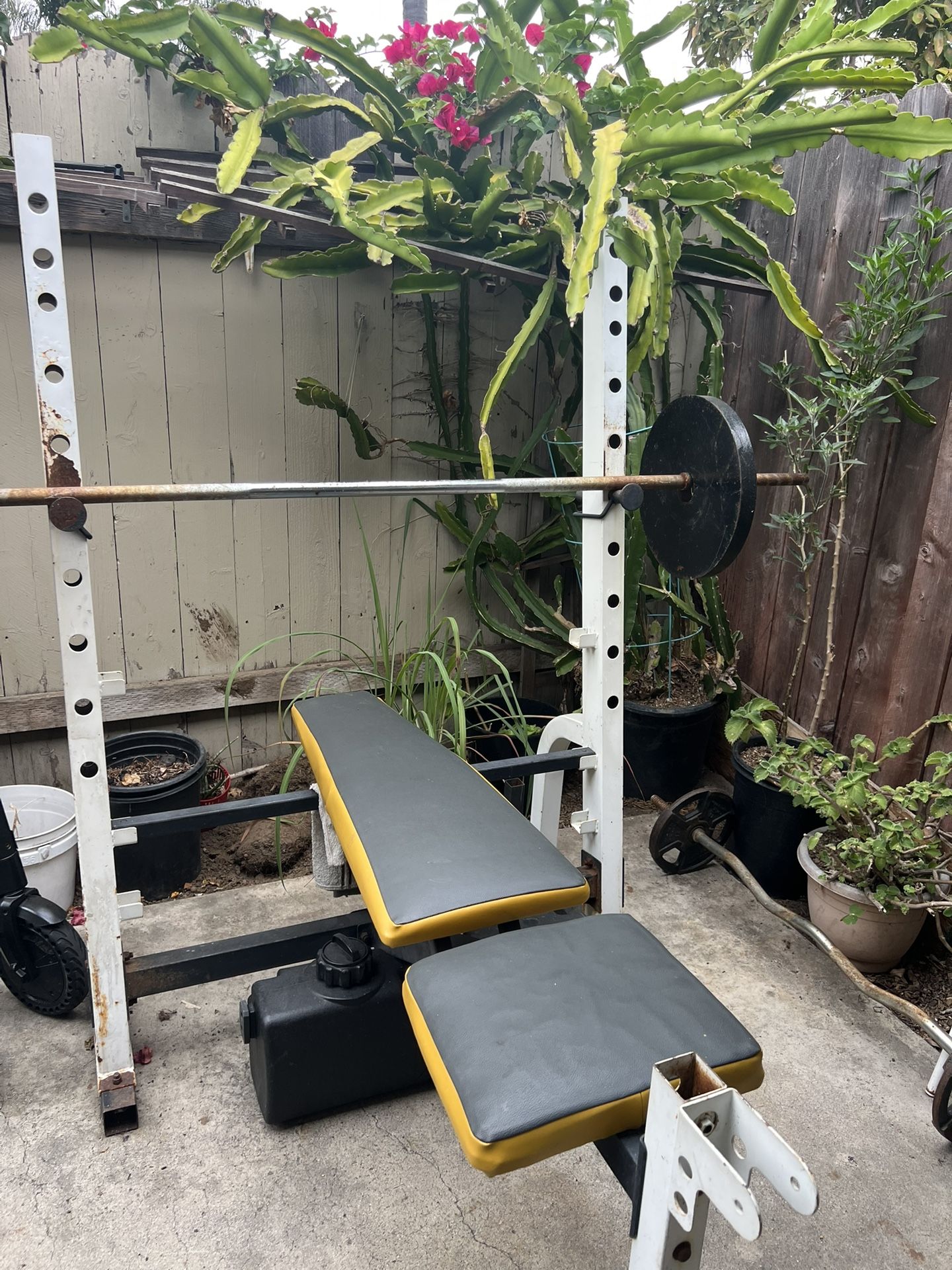 Weight Bench
