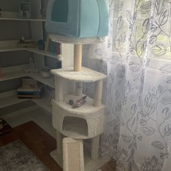 Cat Tower And Accessory Bundle $30