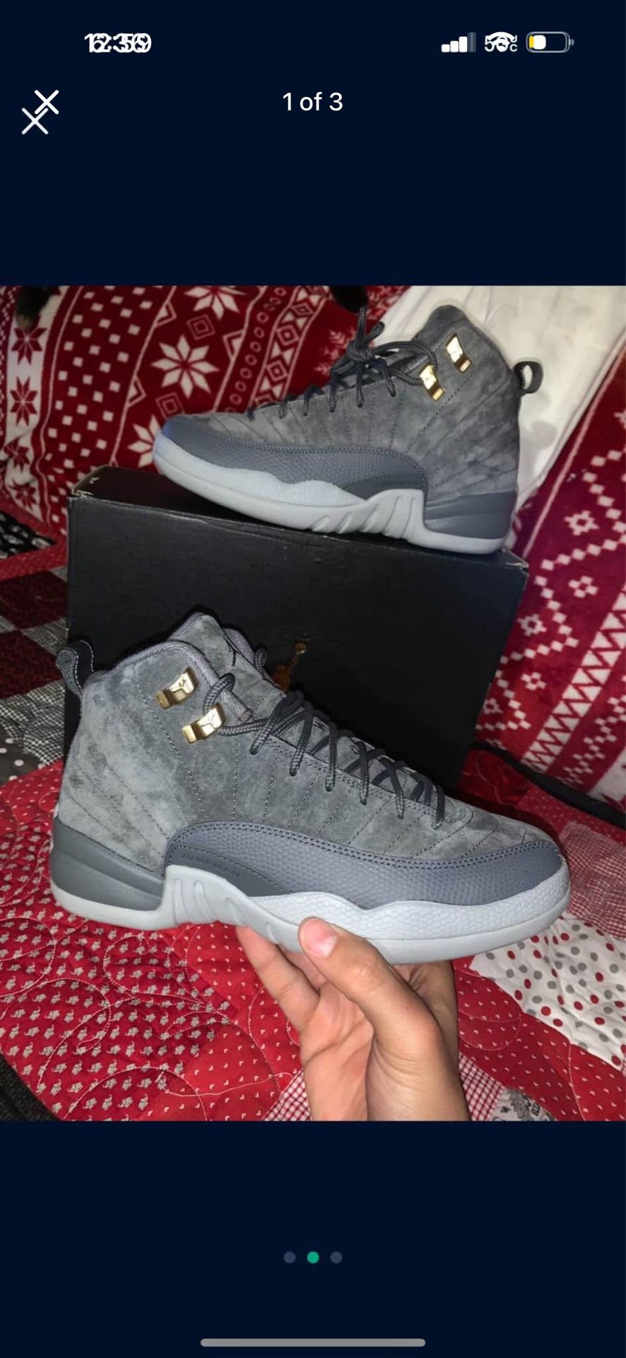 Jordan 12s