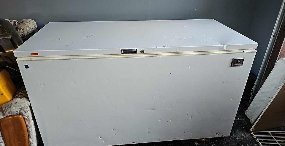 Kelvinator Commercial Freezer  MUST GO ASAP