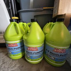 Mold Armor Cleaner