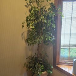 🌿 2 Beautiful Artificial Trees – $150 for Both or $80 Each 🌿