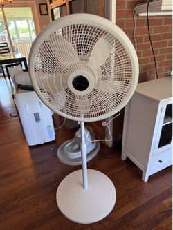 Lasko Fans – Brand New! Pedestal Fan + Box Fan