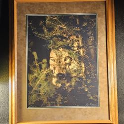 Rare Limited Edition Signed & Numbered By Artist Title "Autumn Eyes" 29"X24" Professionally Framed!