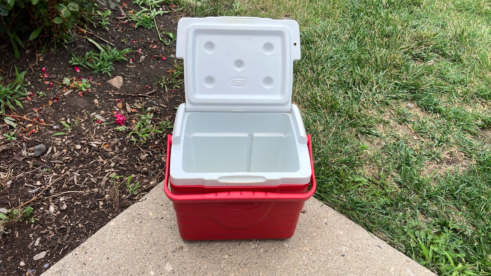 Coleman Red Cooler 🧊