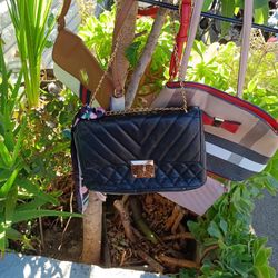 Aldo Purse