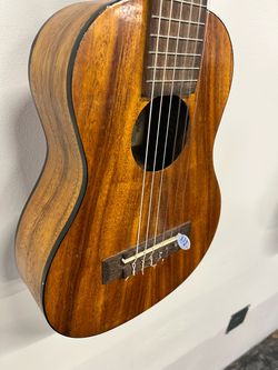 Travelers mini guitar