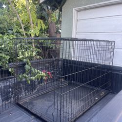 BIG CAGE 