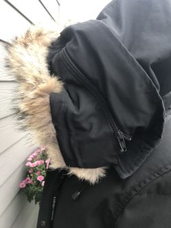 Shelburne genuine coyote fur trim down parka new arrivals