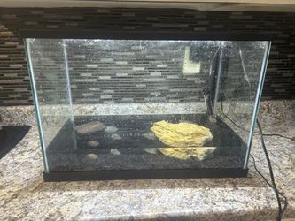 Reptile Tank