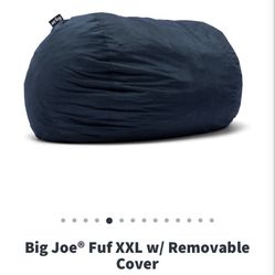 BIG JOE OVERSIZED BEAN BAG w/ WASHABLE COVER (GREAT CONDITION) - $100