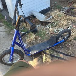 Scooter 