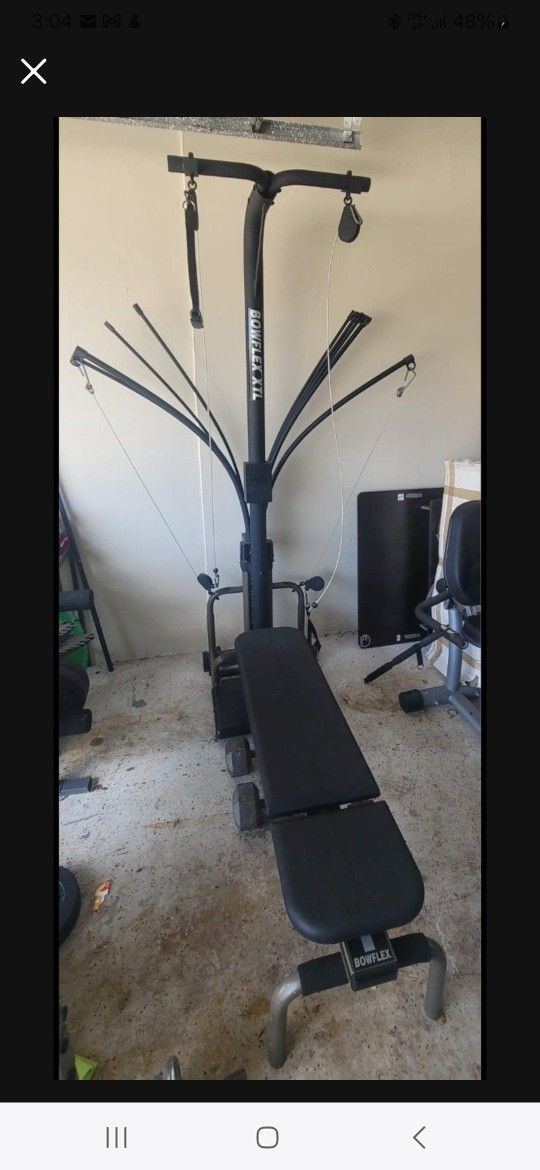 Gym FREE