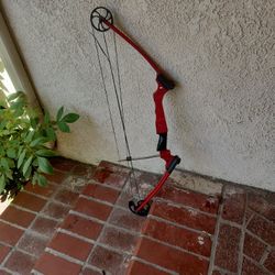 Genesis Mini Bow
