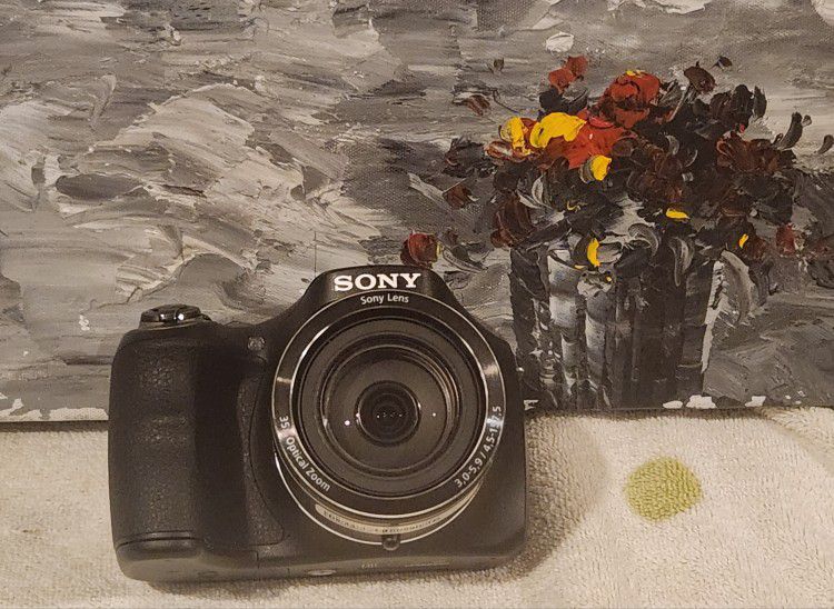 Sony Black Cyber-shot DSC-H300 Digital Camera