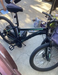 Schwinn 21 Speed Sidewinder Mountain Bike