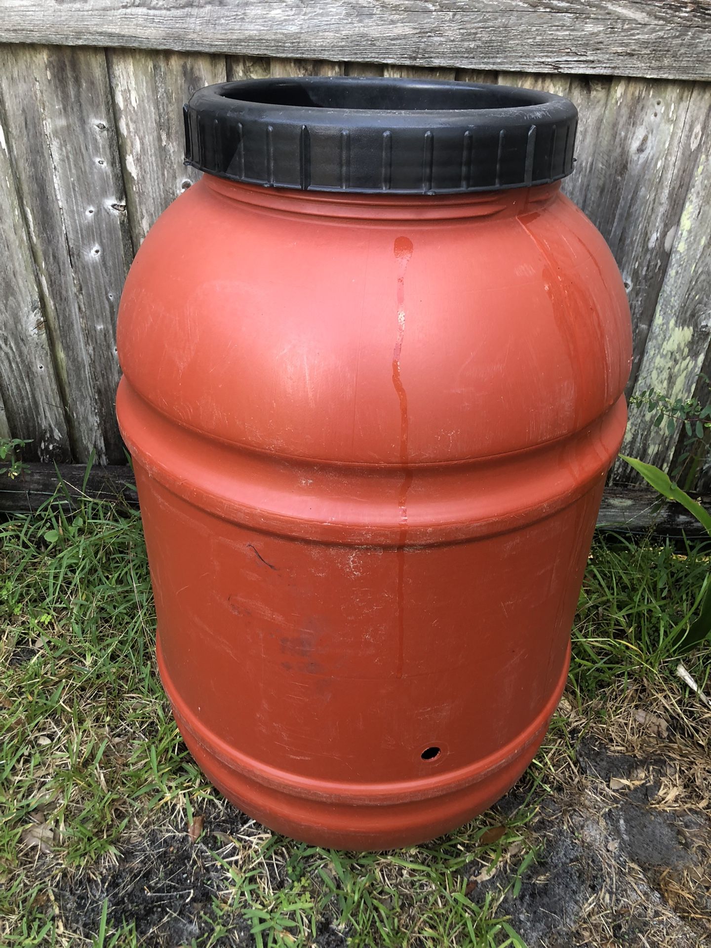 Rain Barrel