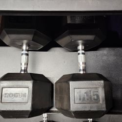 Rogue 115lb Dumbbells