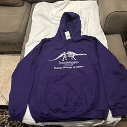 Cool Dino Sweatshirt (New)