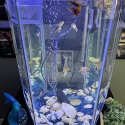 20-25Gallon Hexagon Aquarium Complete $55