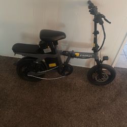 Insdrgn Electric Bike 