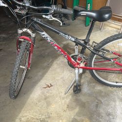 Adult Bike 
