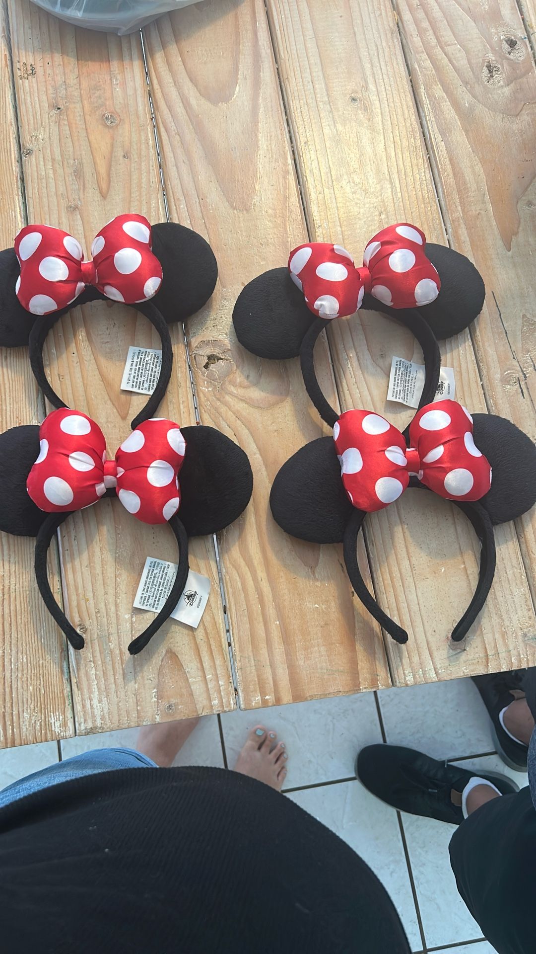 Disney World Minnie Ears From Florida