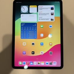 iPad Pro 11inch 1st generation 