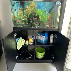 Fish Tank Fresh Water 