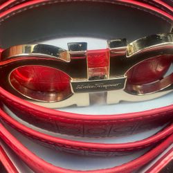 Ferragamo Belt (RED) 