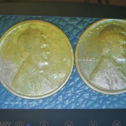 1920 And 1920D Lincoln Wheat Pennies 