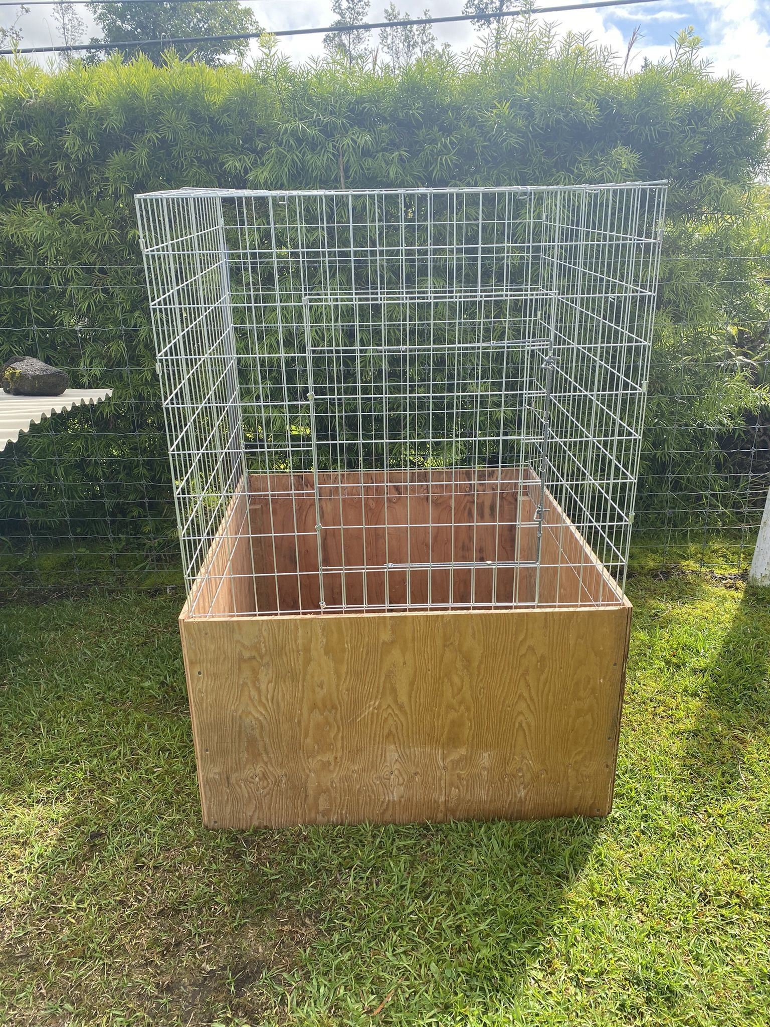 Chicken Cages