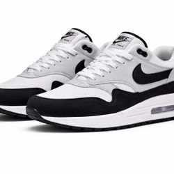 Nike Air Max 1 White Black Neutral Grey Men’s 11 New No Box FD9082-107