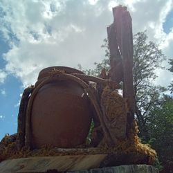 Wood Decoration
