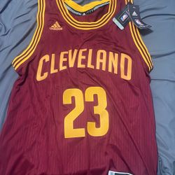 Cleveland Cavaliers Swingman Jersey