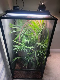 Reptile screen cage