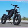 Ebikes