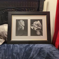 Framed  Art  Work (Floral)