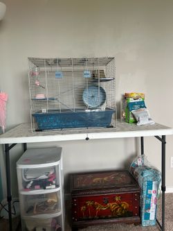 Recently purchased new with cage and food and bedding herbal all included