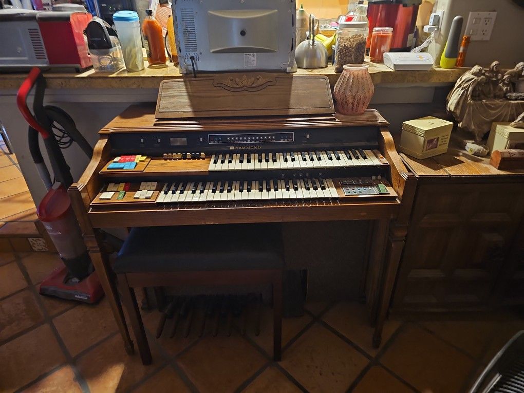 Organ